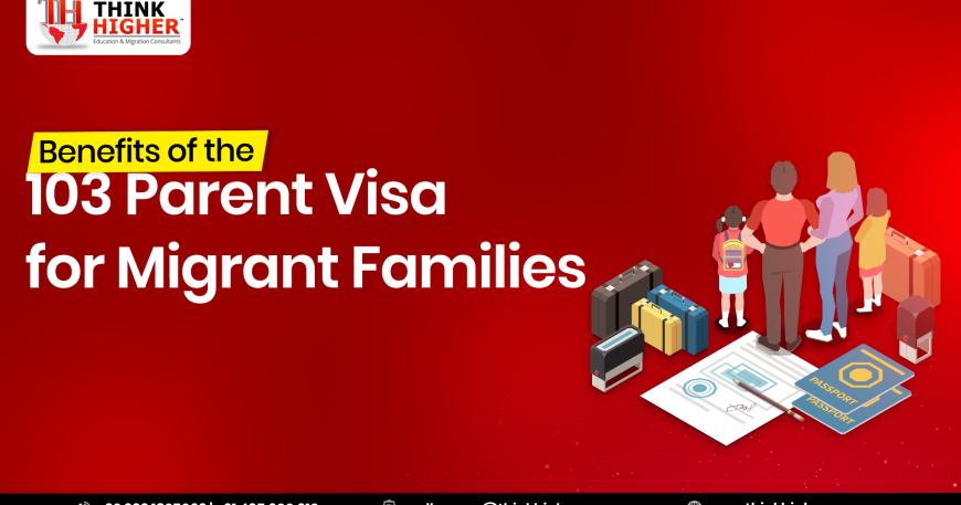 benefits of 103 visa